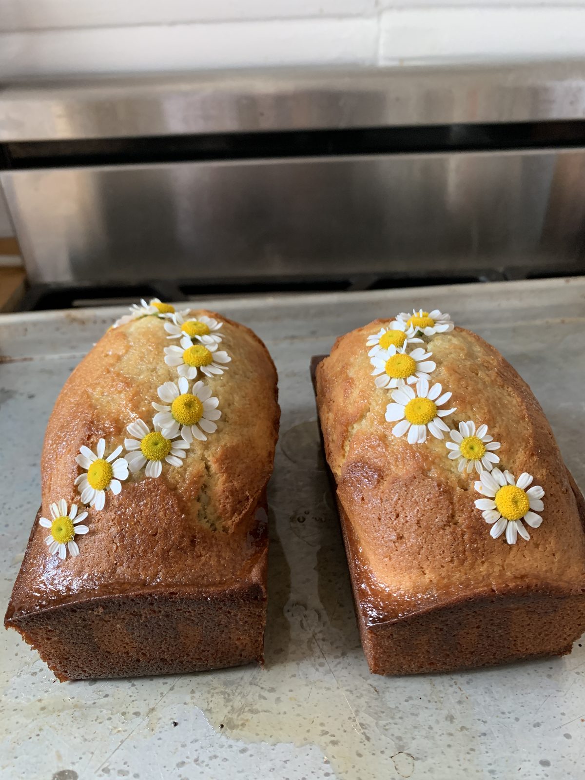 TasteGurus image for Camomile Honey Tea Cake