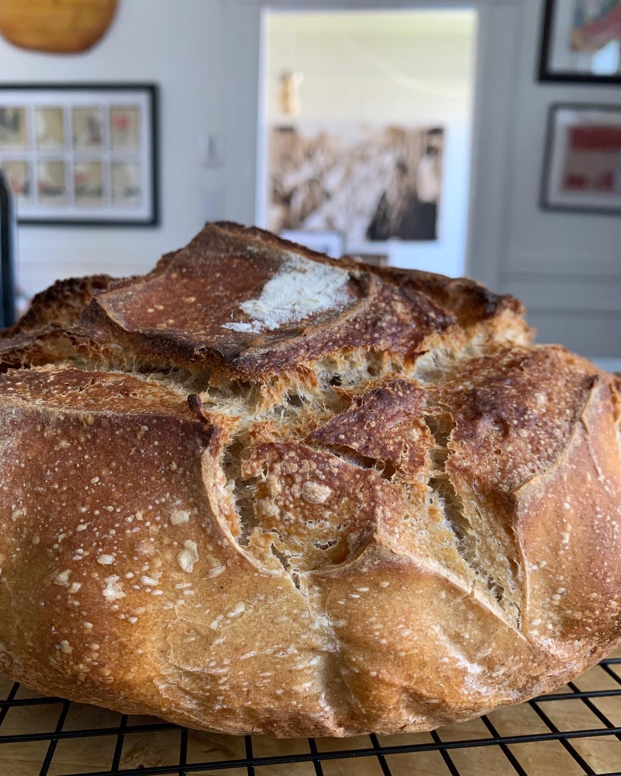 TasteGurus recipe image for 24 hour Rustic Sourdough