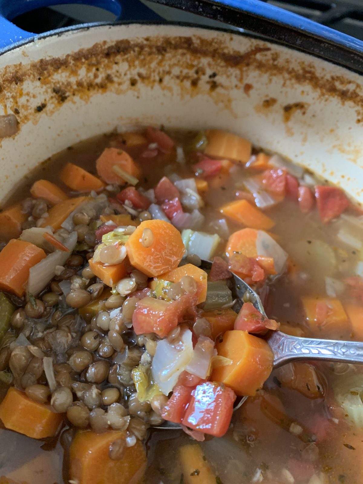 TasteGurus recipe image for Lentil Soup
