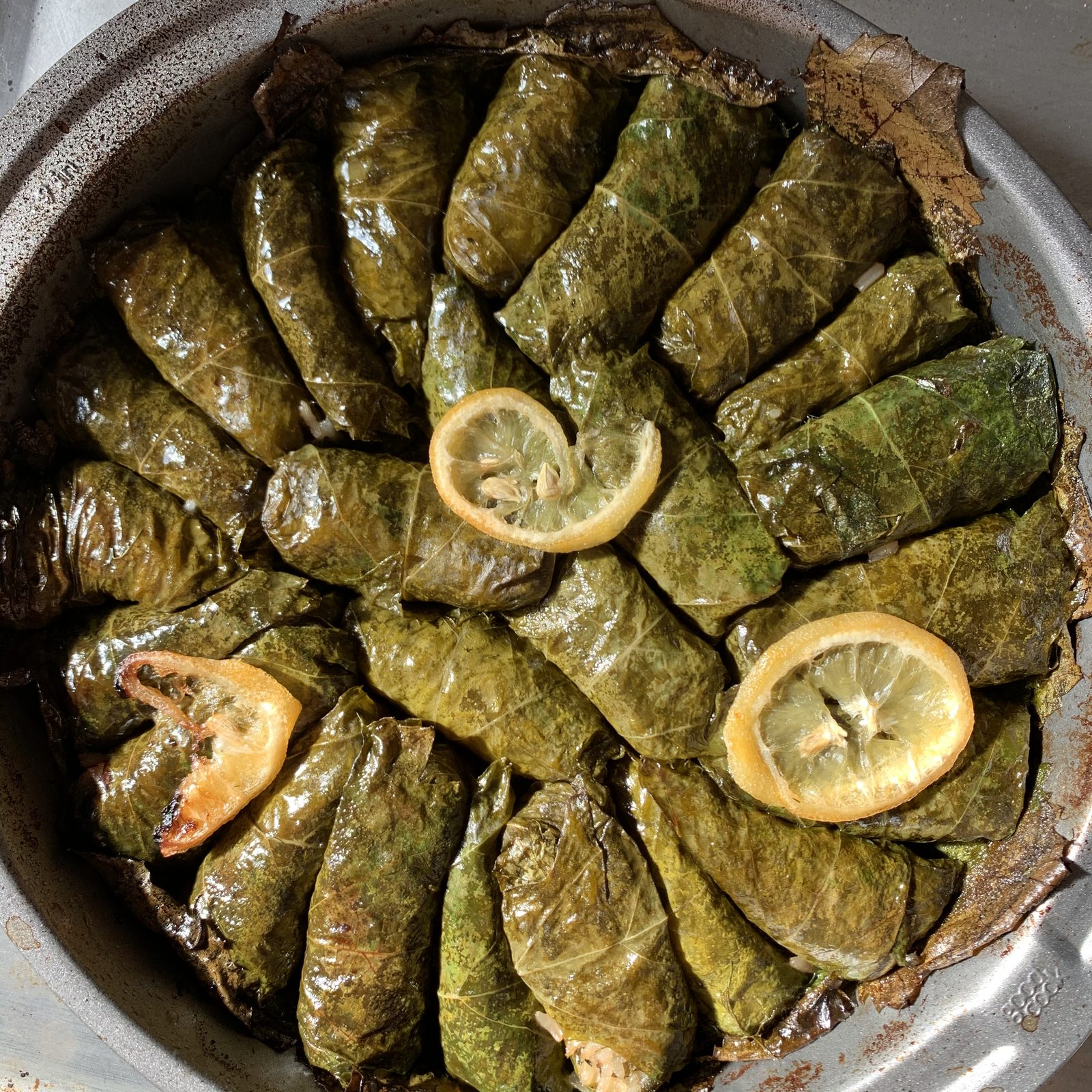 TasteGurus recipe image for Dolmades