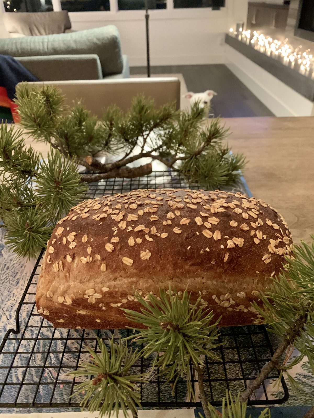 TasteGurus recipe image for Oat Porridge Sourdough Sandwich Loaf