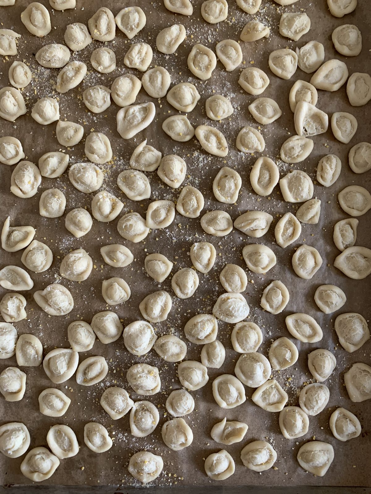 TasteGurus recipe image for Pasta Dough - Eggless (for orecchiette & pici)